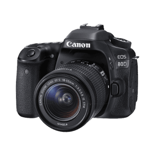 Vestibulum ante ipsum primis