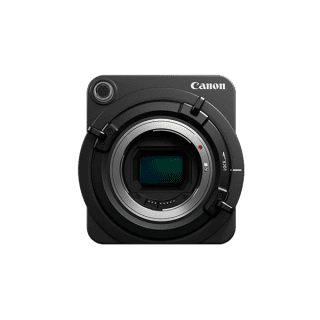 Aenean non pellentesque mauris