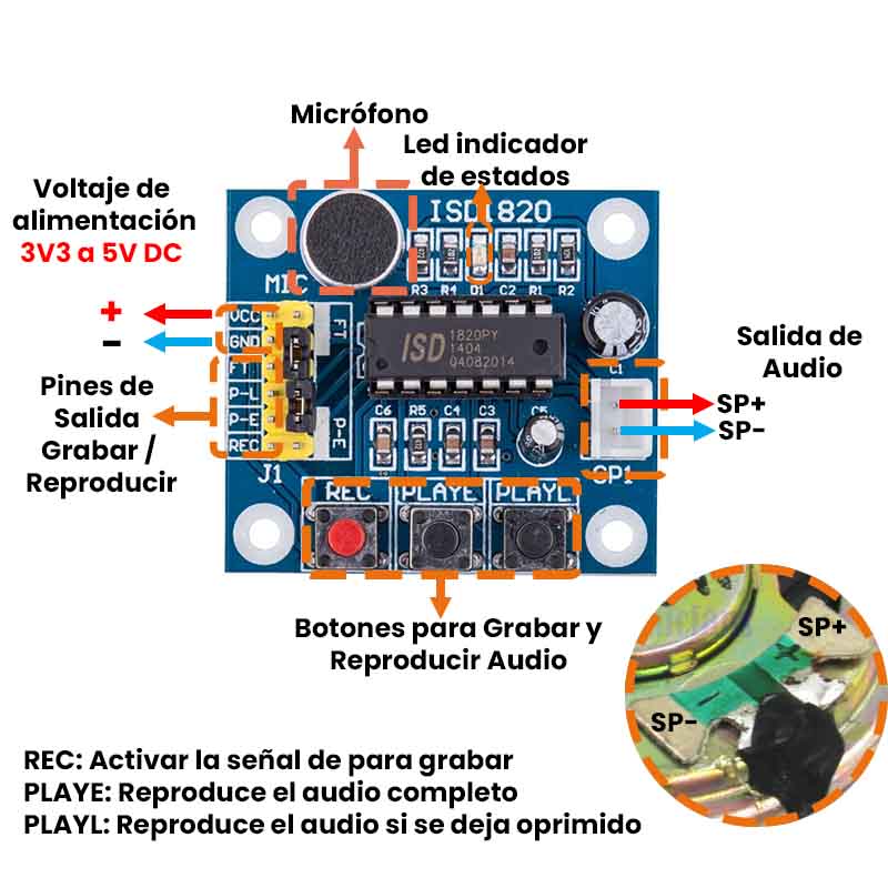 Grabadora de voz profesional con amplificador de audio integrado
