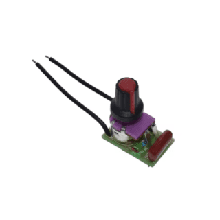 Regulador de Velocidad PWM para Motor 220V 100W