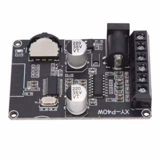 Amplificador de Audio XY-P40W 30W 40W